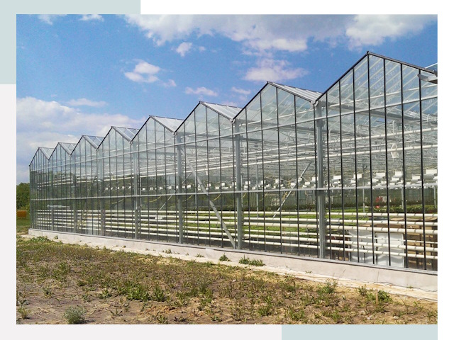 Строительство теплиц в Котлас от 622 руб. за м²