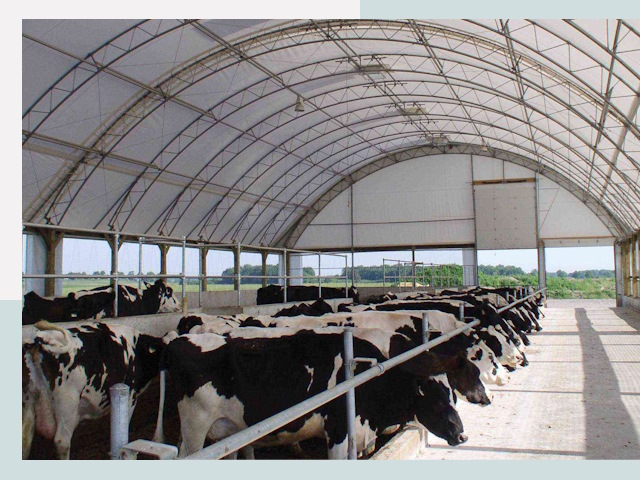 Тентовые коровники в Котласе